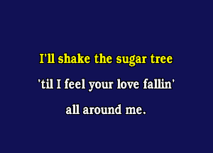 I'll shake the sugar tree

'til I feel your love fallin'

all around me.