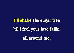 I'll shake the sugar tree

'til I feel your love fallin'

all around me.