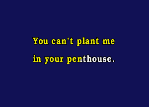 Yen can't plant me

in your penthouse.
