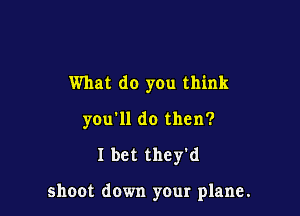 What do you think

yeu'll do then?

I bet they'd

shoot down your plane.