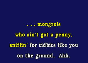 . . . mongrels

who ain't got a penny.

sniffin' for tidbits like you

on the ground. Ahh.