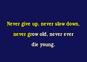 Never give up. never slow down.

never grow old. never ever

die young.