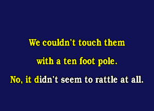 We couldn't touch them

with a ten foot pole.

No. it didn't seem to rattle at all.