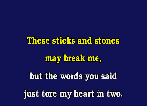 These sticks and stones

may break me.

but the words you said

just tore my heart in two. I