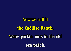 Now we call it

the Cadillac Ranch.

We're parkin' cars in the old

pea patch.