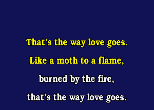 That's the way love goes.
Like a moth to a flame.

burned by the fire.

that's the way love goes.