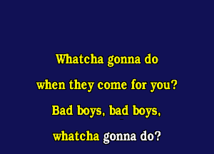 Whatcha gonna do

when they come for you?

Bad boys. bad boys.

whatcha gonna do?