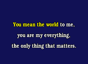 You mean the world to me.
you are my everything.

the only thing that matters.