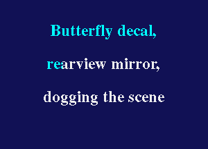 Butterny decal,

rearview mirror,

dogging the scene
