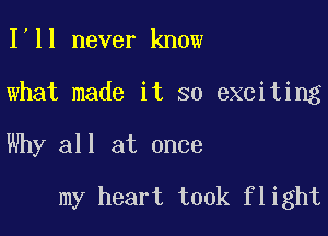 I ll never know
what made it so exciting

Why all at once

my heart took flight