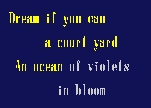 Dream if you can

a court yard
An ocean of violets

in bloom