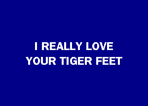 I REALLY LOVE

YOUR TIGER FEET