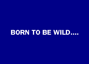 BORN TO BE WILD....