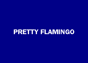 PRE'ITY FLAMINGO