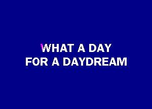 WHAT A DAY

FOR A DAYDREAM