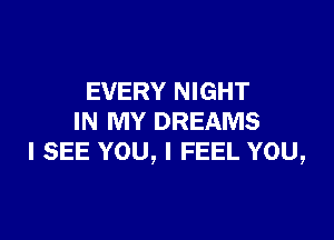 EVERY NIGHT

IN MY DREAMS
I SEE YOU, I FEEL YOU,