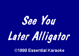 5966 Vol!

lefer Mgm-

CQ1999 Essential Karaoke