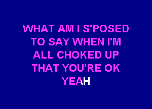 WHAT AM I S'POSED
TO SAY WHEN I'M

ALL CHOKED UP
THAT YOU'RE 0K
YEAH