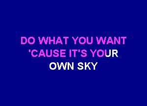 DO WHAT YOU WANT

'CAUSE IT'S YOUR
OWN SKY