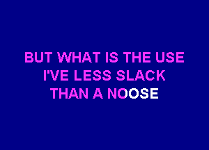 BUT WHAT IS THE USE

I'VE LESS SLACK
THAN A NOOSE