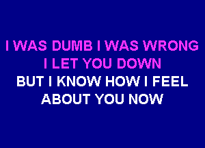 I WAS DUMB I WAS WRONG
I LET YOU DOWN
BUT I KNOW HOWI FEEL
ABOUT YOU NOW