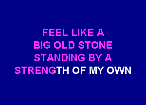 FEEL LIKE A
BIG OLD STONE

STANDING BY A
STRENGTH OF MY OWN