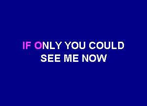 IF ONLY YOU COULD

SEE ME NOW