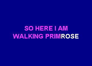 SO HERE I AM

WALKING PRIMROSE
