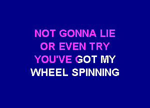 NOT GONNA LIE
OR EVEN TRY

YOU'VE GOT MY
WHEEL SPINNING