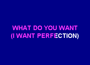 WHAT DO YOU WANT

(I WANT PERFECTION)