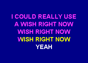 ICOULD REALLY USE
A WISH RIGHT NOW

WISH RIGHT NOW
WISH RIGHT NOW
YEAH