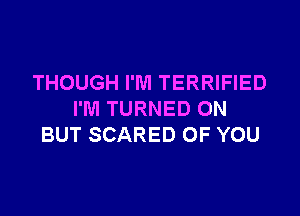THOUGH I'M TERRIFIED

I'M TURNED ON
BUT SCARED OF YOU