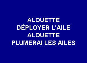 ALOUETTE
DEPLOYER L'AILE
ALOUETTE
PLUMERAI LES AILES