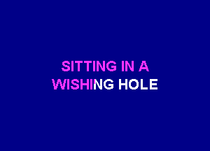 SITTING IN A

WISHING HOLE