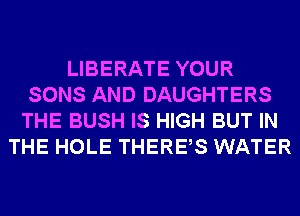 LIBERATE YOUR
SONS AND DAUGHTERS
THE BUSH IS HIGH BUT IN
THE HOLE THERES WATER