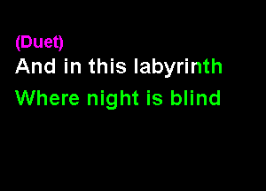 (Duet)
And in this labyrinth

Where night is blind