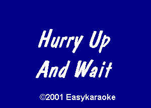 flurry (lp

4nd Weif

(Q2001 Easykaraoke