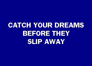 CATCH YOUR DREAMS

BEFORE THEY
SLIP AWAY