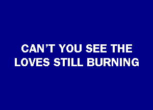 CANT YOU SEE THE

LOVES STILL BURNING