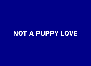 NOT A PUPPY LOVE