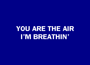 YOU ARE THE AIR

PM BREATHIN,