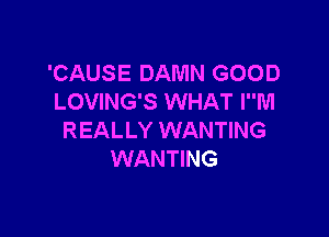 'CAUSE DAMN GOOD
LOVING'S WHAT IM

REALLY WANTING
WANTING