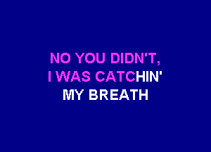 N0 YOU DIDN'T,

I WAS CATCHIN'
MY BREATH