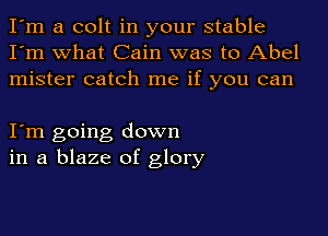 I'm a colt in your stable
I'm what Cain was to Abel
mister catch me if you can

I'm going down
in a blaze of glory