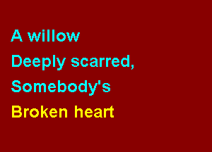 A willow
Deeply scarred,

Somebody's
Broken heart