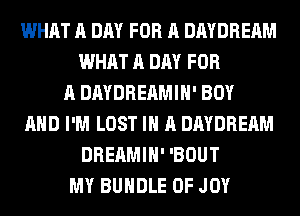 WHAT A DAY FOR A DAYDREAM
WHAT A DAY FOR
A DAYDREAMIH' BOY
AND I'M LOST IN A DAYDREAM
DREAMIH' 'BOUT
MY BUNDLE 0F JOY