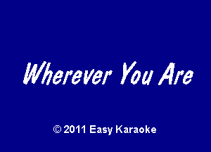 Wierever 1490 fire

2011 Easy Karaoke