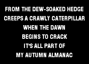 FROM THE DEW-SOAKED HEDGE
CREEPS A CRAWLY CATERPILLAR
WHEN THE DAWN
BEGINS T0 CRACK
IT'S ALL PART OF
MY AUTUMN ALMAHAC