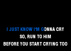 I JUST KNOW I'M GONNA CRY
SO, RUN T0 HIM
BEFORE YOU START CRYIHG T00