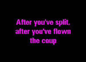 After you've split,

after you've flown
the coup